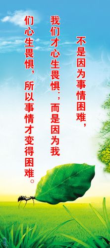 kaiyun官方网站:ro反渗透净水器滤芯(净水器反渗透滤芯)